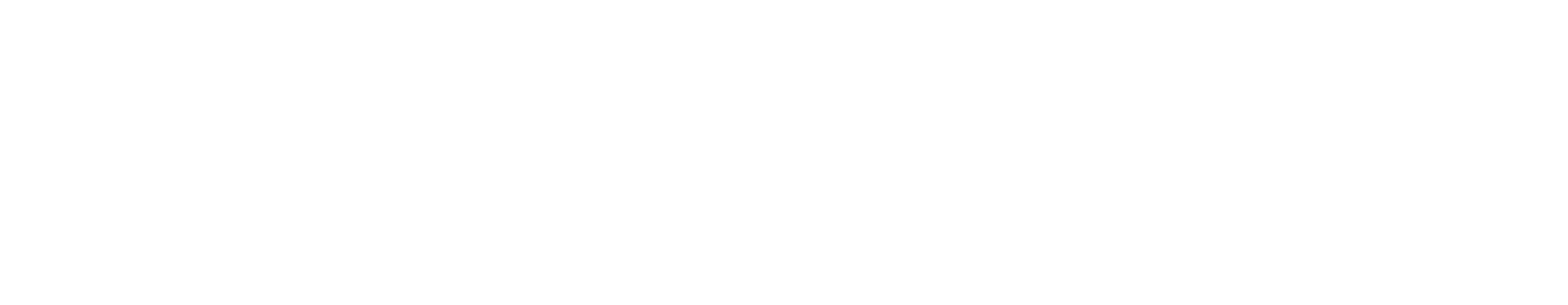 Experza_logo_wit